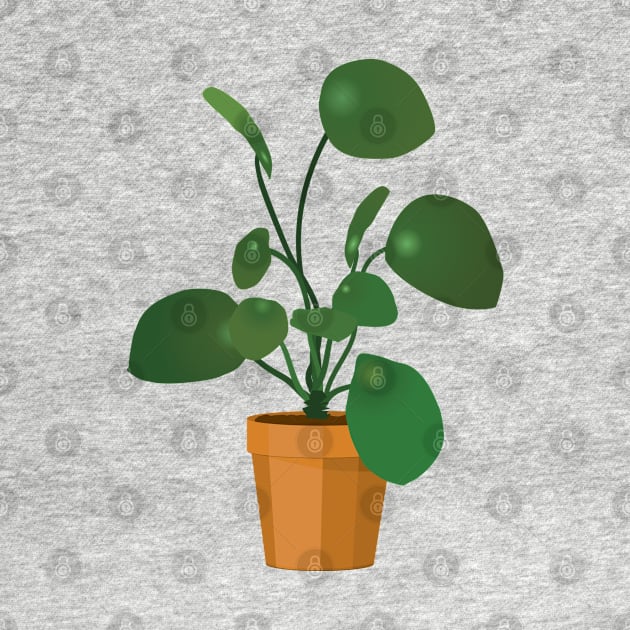 Chinese money plant by Bwiselizzy